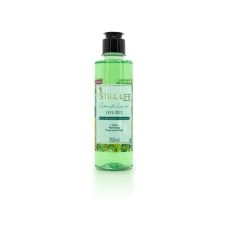 Sabonete Líquido 250ml Erva Doce + artefasa